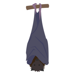 Animal plano morcego Desenho PNG