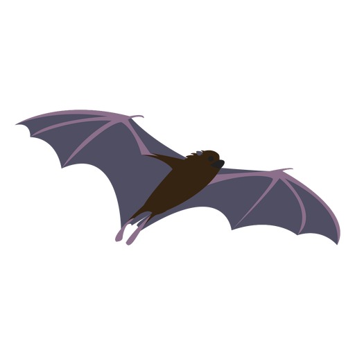 Noite de mosca plana morcego