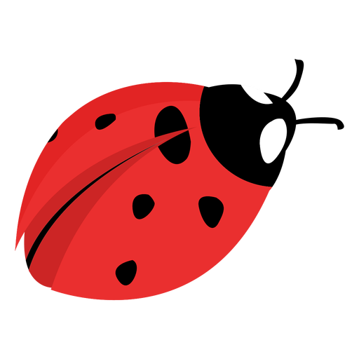 Flat ladybug image ladybug PNG Design