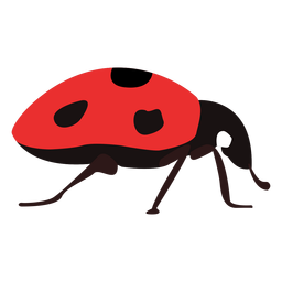 Flat ladybug insect PNG Design Transparent PNG