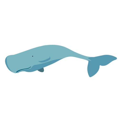 Flat whale blue PNG Design