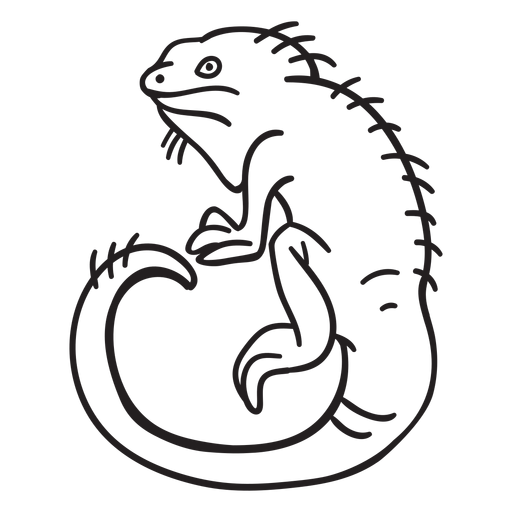 Curso de lagarto Desenho PNG