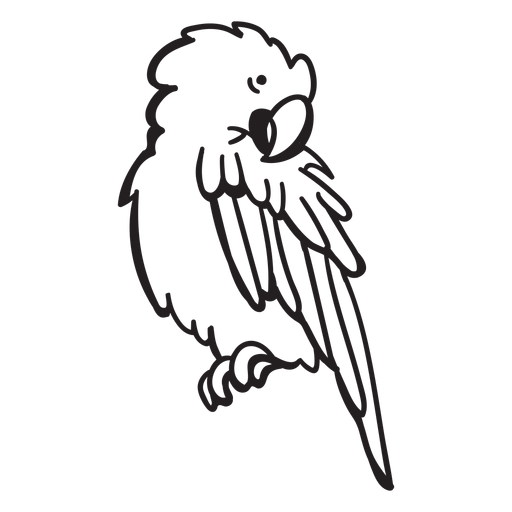 Parrot character stroke PNG Design