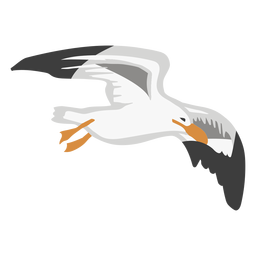 Animal de cor gaivota Desenho PNG