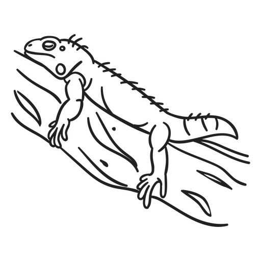 Curso de lagarto adormecido Desenho PNG
