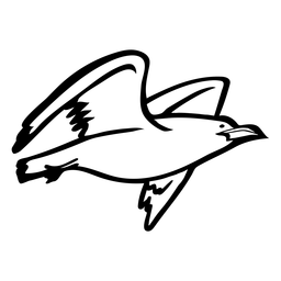 Gaivota voando Desenho PNG