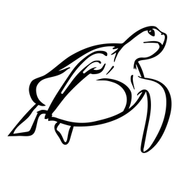 Turtle animal stroke nado Desenho PNG
