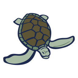 Turtle Color Animal Flat PNG & SVG Design For T-Shirts