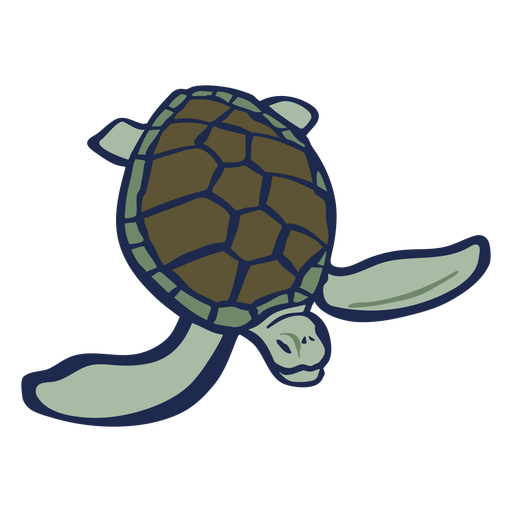 Turtle color animal flat PNG Design