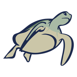 Tortuga nadando plana Diseño PNG