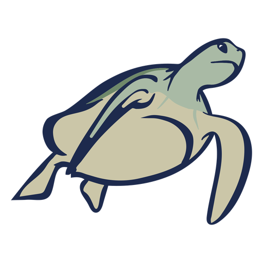 Tartaruga nadando plana Desenho PNG