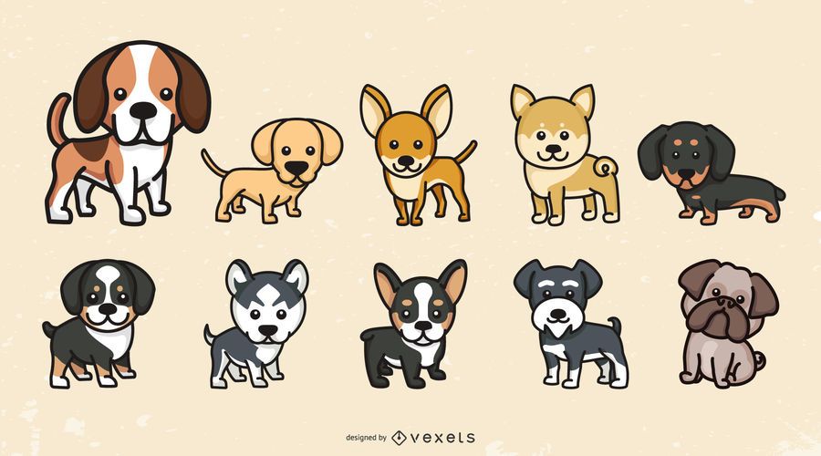 Cute dog breeds set Cute dog breeds set