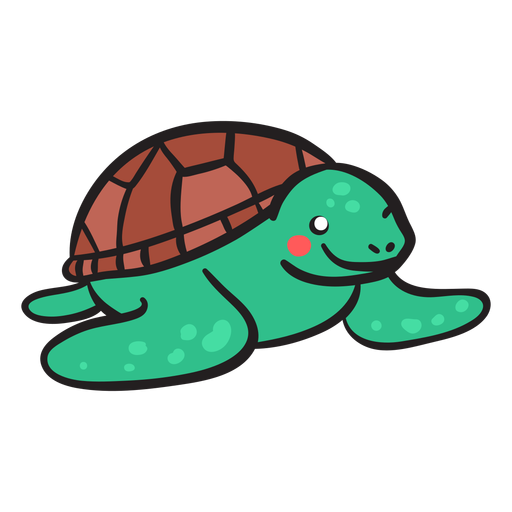 Tartaruga-verde sorrindo vista frontal Desenho PNG