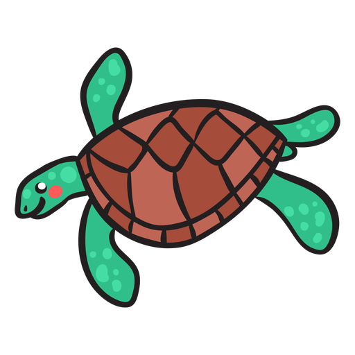 Tortuga verde nadando Diseño PNG