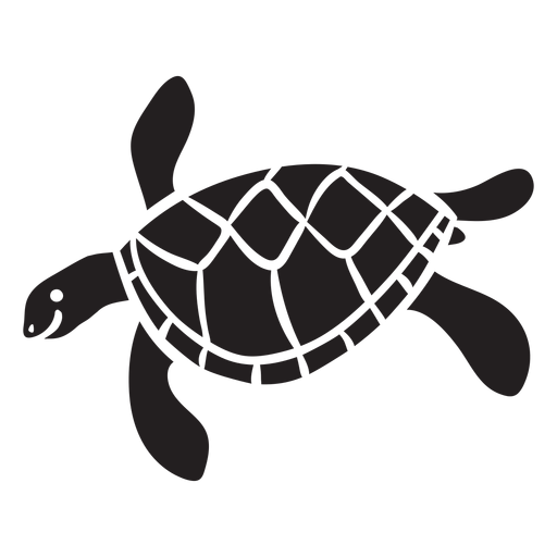 Sea turtle swimming 