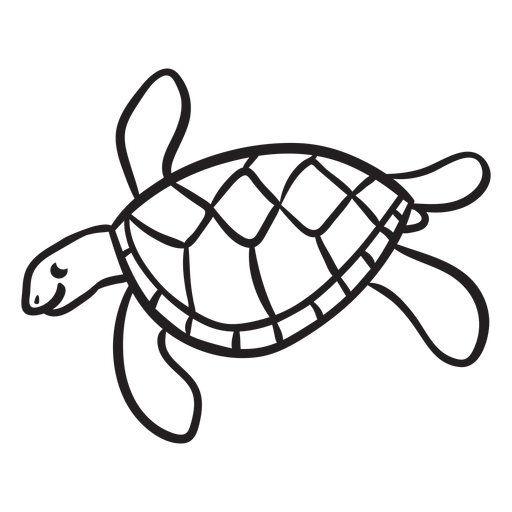 Sea turtle swimming outline.
