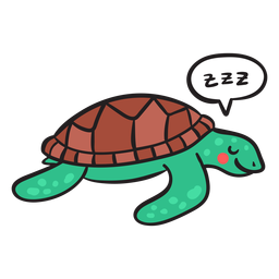 Sleeping green sea turtle Sleeping green sea turtle