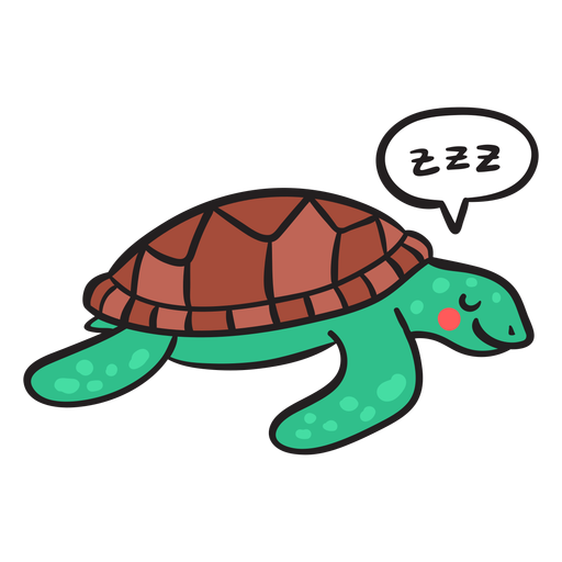 Tartaruga verde adormecida Desenho PNG