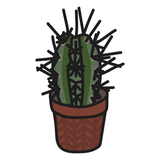 Ilustración suculenta de cactus Diseño PNG