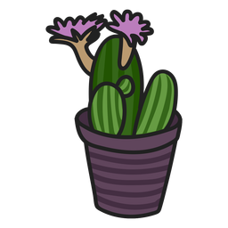 Ilustração colorida de suculenta