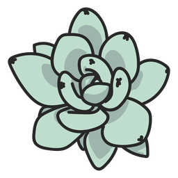 Grüne saftige Pflanzenillustration PNG-Design