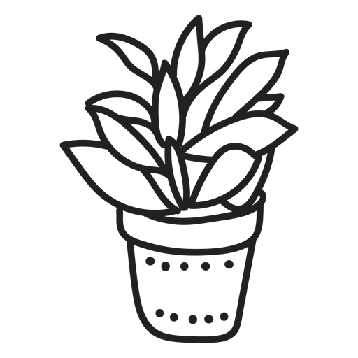 Kalanchoe Pflanze saftig PNG-Design
