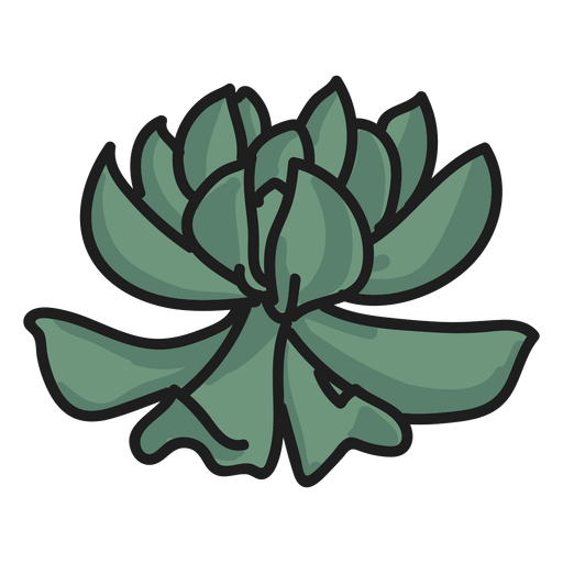 Plant doodle illustration succulent