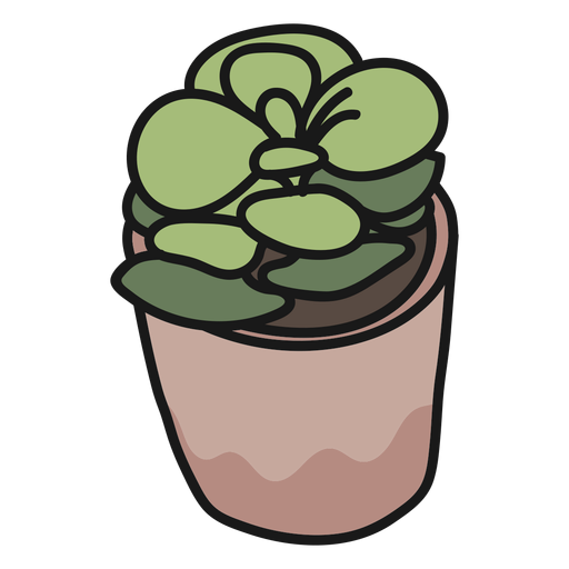 Plant succulent stroke illustration PNG Design