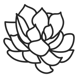 Plants succulents colorless illustration PNG Design