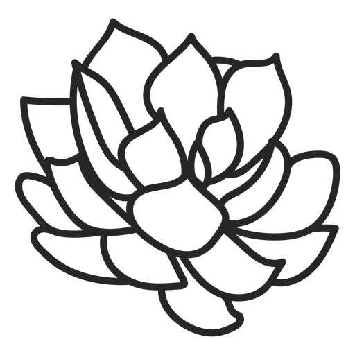 Plants succulents colorless illustration - Transparent PNG & SVG vector