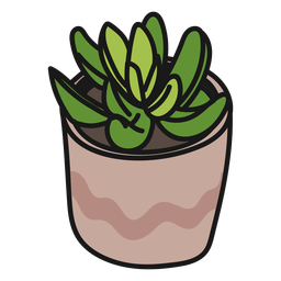 Plants succulents green tranquil illustration PNG Design