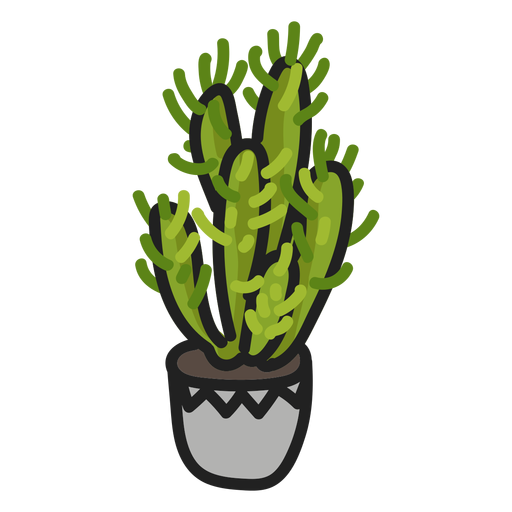 Ilustración suculenta de cactus de trazo Diseño PNG