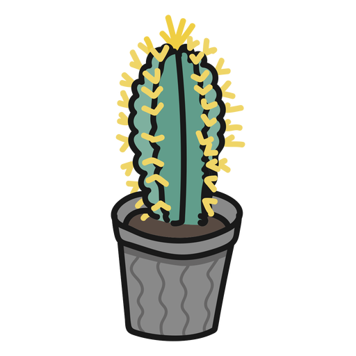 Succulent plant cactus illustration stroke