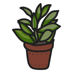 Succulent plant stroke illustration PNG Design