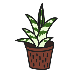 Ilustração de gasteria atraente e suculenta Desenho PNG