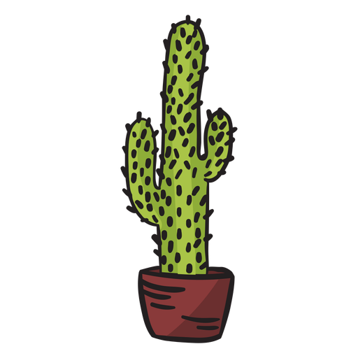 Ilustración de cactus alto mexico Diseño PNG