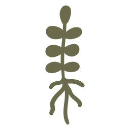 Simple plant with roots PNG Design