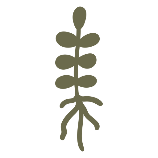 Simple plant with roots - Transparent PNG & SVG vector file
