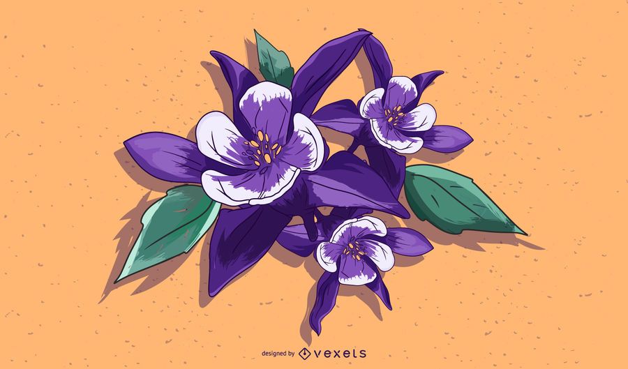 Aquilegia Flower Illustration Design Aquilegia Flower Illustration Design