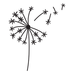 dandelion simple stroke PNG Design