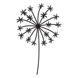 stroke dandelion plant