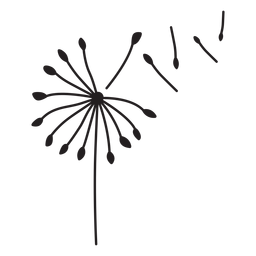 petals dandelion stroke PNG Design