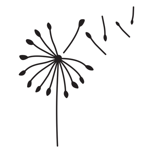 Blütenblätter Löwenzahn Strich PNG-Design