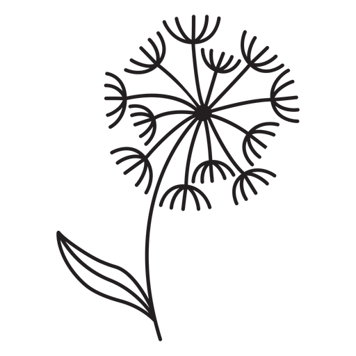 Blütenblätter von Löwenzahn streicheln PNG-Design