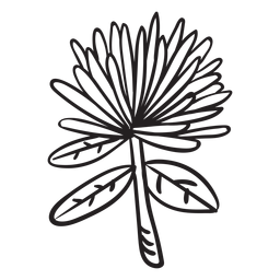 Flor de trazo de flor Diseño PNG
