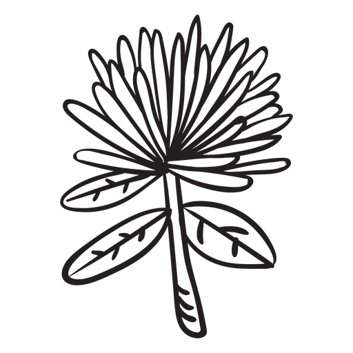 Blumenstrichblume PNG-Design