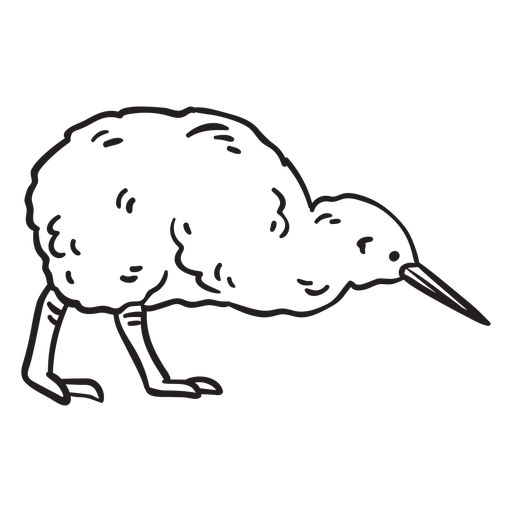 Golpe de pájaro kiwi Diseño PNG