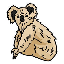 Urso coala desenhado à mão Desenho PNG