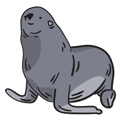 Seal animal hand drawn