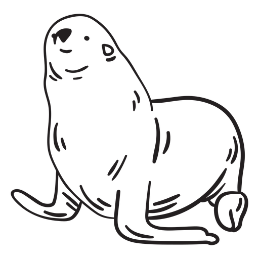 Seal animal stroke PNG Design